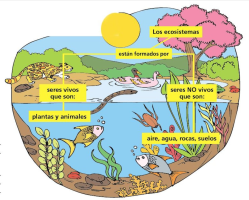 biologiayecosistemas5.milaulas.com